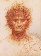 LEONARDO da Vinci Buste one frontal to seeing man and head of a Lowen Germany oil painting artist